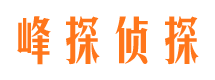 盐池侦探